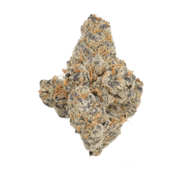 Tweed Glitter Bomb 20/1